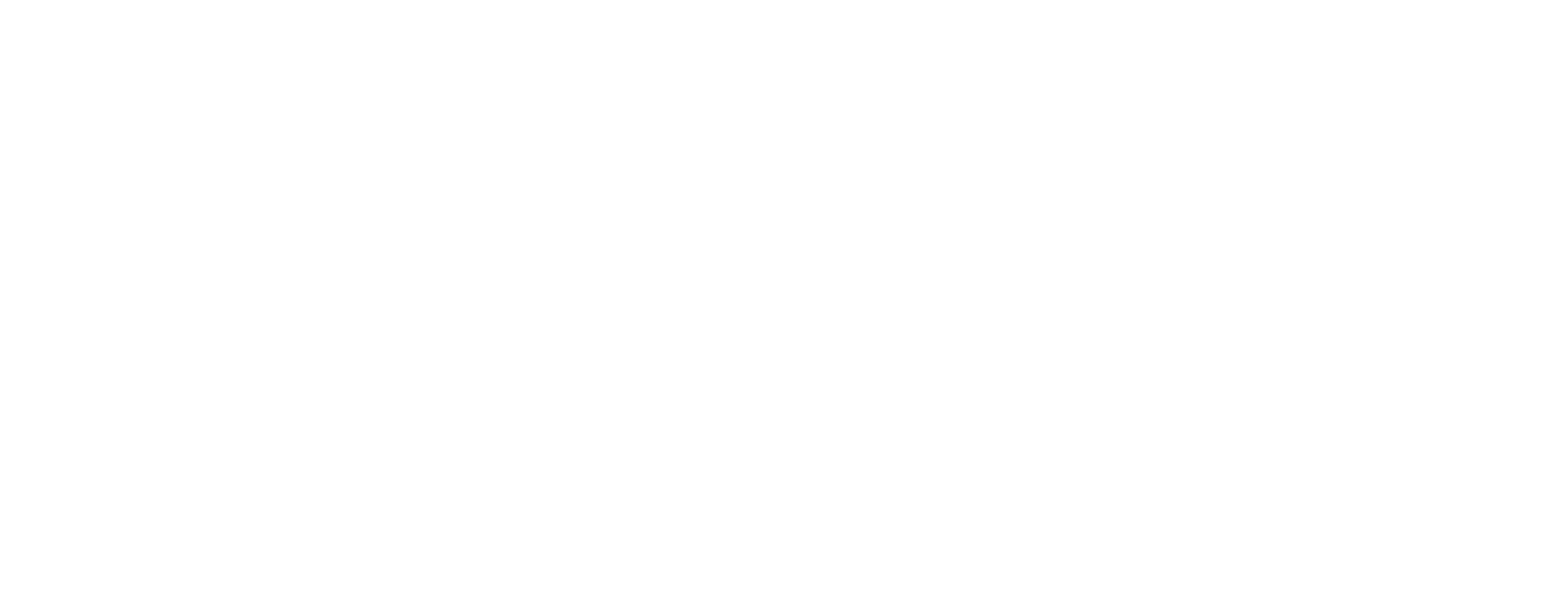 erre logo neg bianco